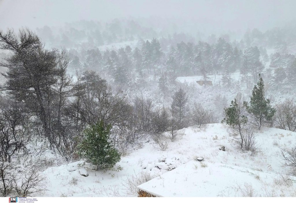 Frost, Gale-Force Winds, and Lower Temperatures in Greece