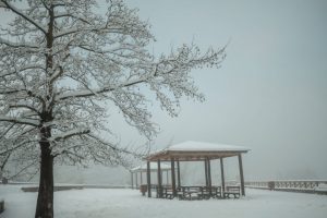 Video – Intense Cold Grips Greece, Snow on Mount Parnitha