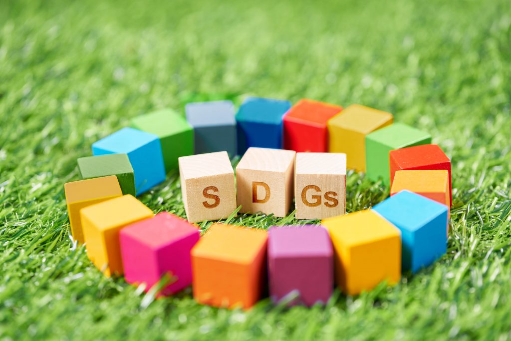 Greece Ranks 29th of 167 OECD Countries for SDG Performance