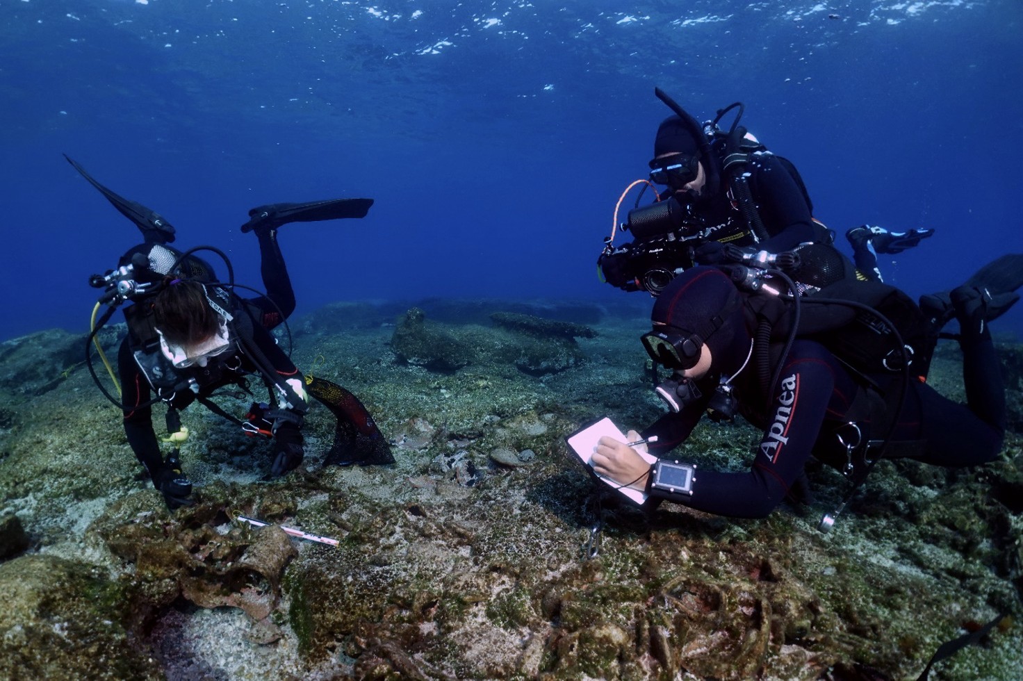 10 Shipwrecks Discovered οff Kasos Island in Greece - tovima.com