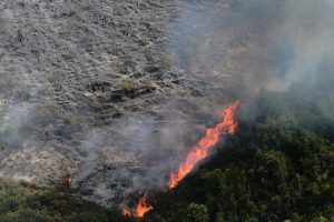 Large Fire in SE Crete – One Injured