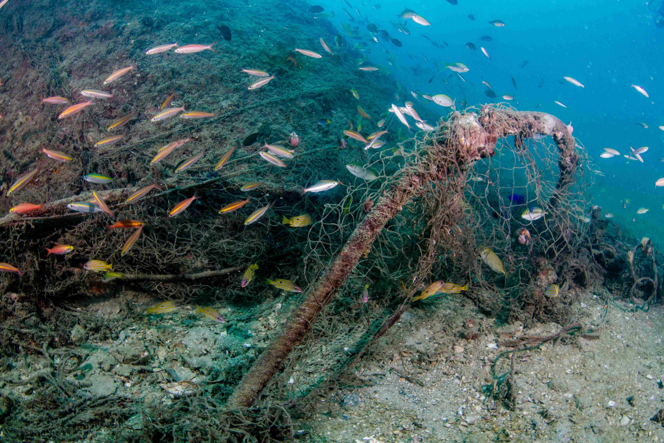 Ghost Fish Farms Polluting Greece’s Seas