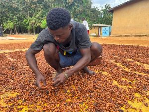 Chocolate Prices Have Soared. A New Law Threatens to Keep Them High.