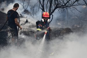 Civil Protection: High Wildfire Risks in Attica, 7 Other Areas