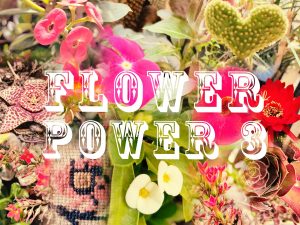 FokiaNou Art Space: Exploring Life’s Cycle in ‘Flower Power 3’ Exhibition