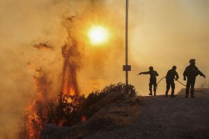 Greece: 55 Fires in 24 Hours, Arrests in Naxos and Fokida