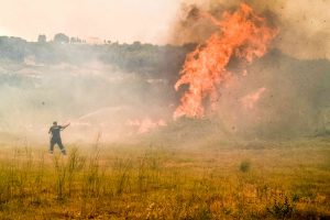 64 Wildfires in Greece on Fri.; Most Serious Cases in Peloponnese