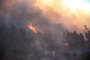 Fire on Mt. Falakro in Northern Greece Rages for 6th Day