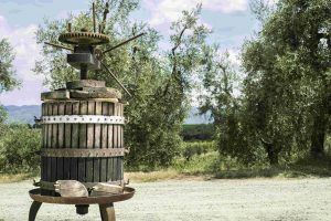 A New Niche: Olive Oil Tourism