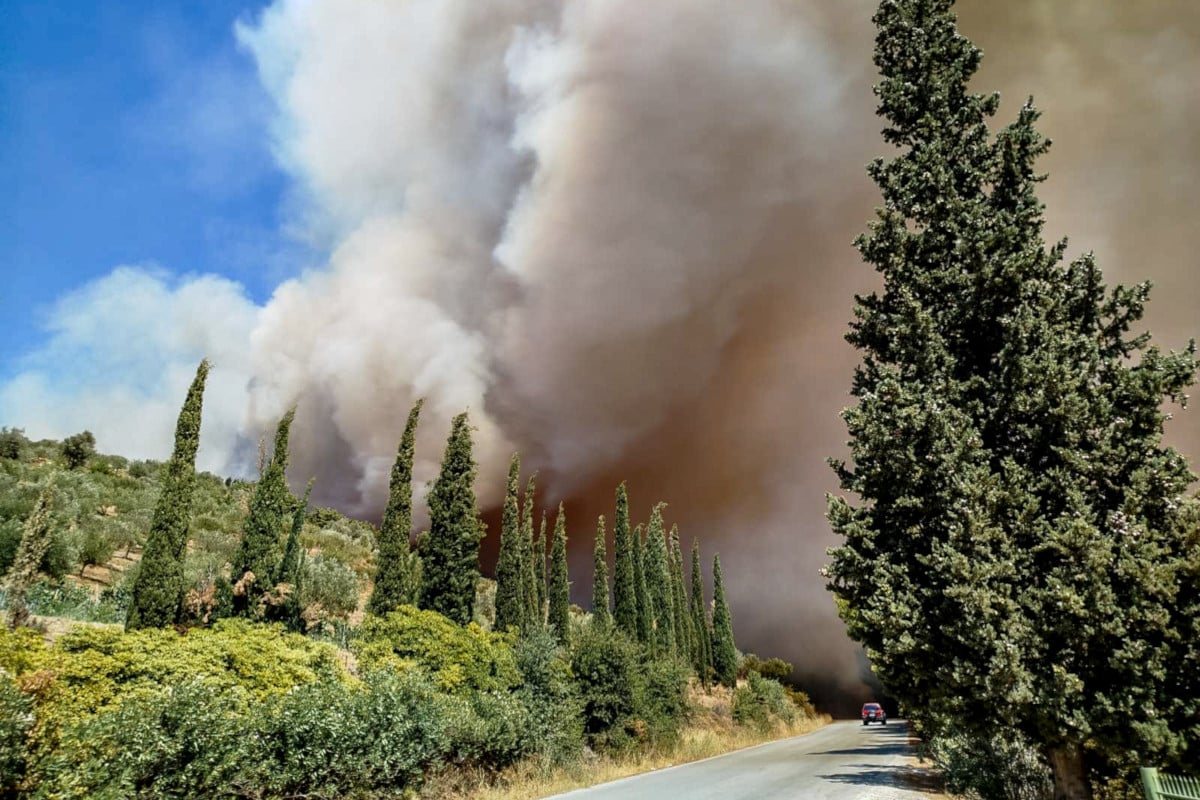 Large Forest Fire Rages in Evia (photos)