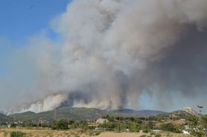 Fires in Evia and Crete Under Control