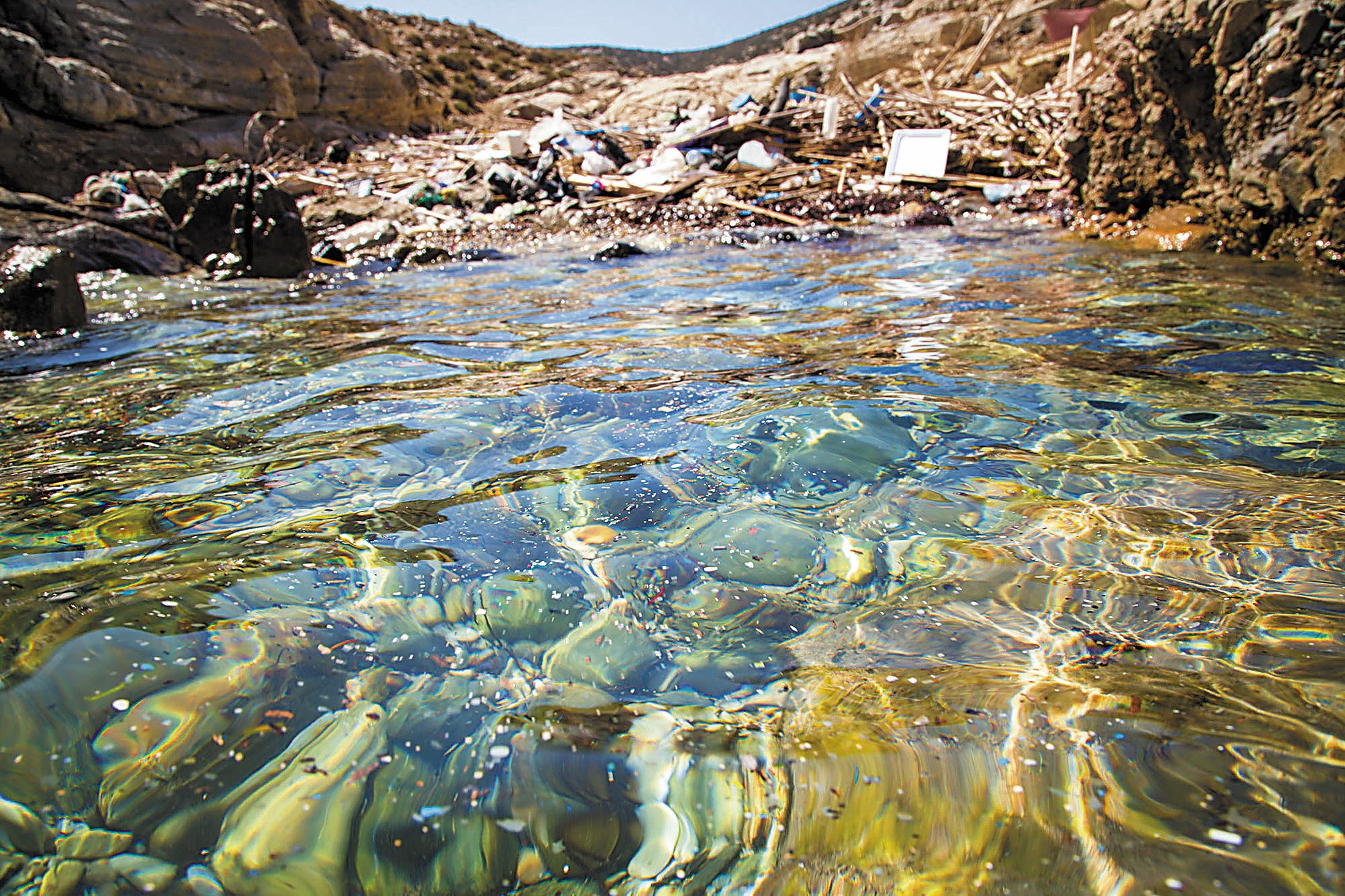 Swimming With Plastics