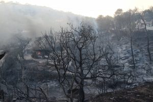 Greece Wildfires: 700,000 Acres of Forest Reduced to Ash in 8 Yrs