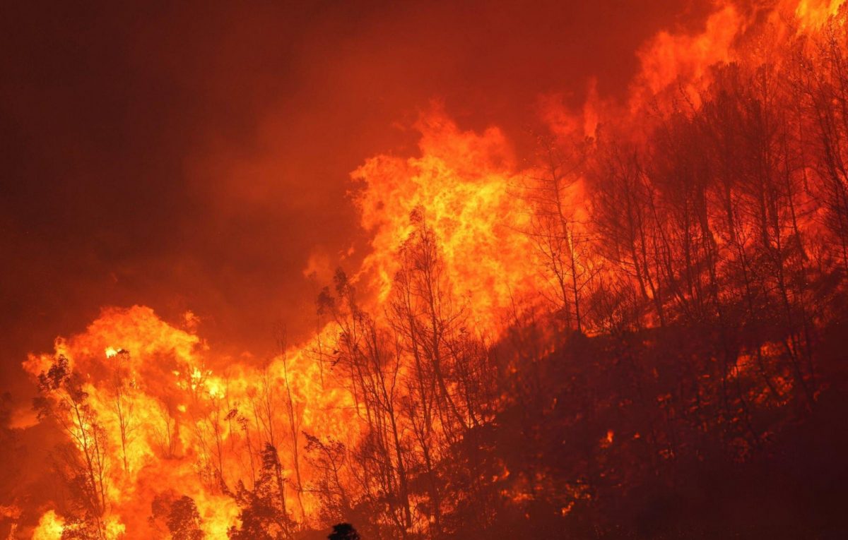 Fire Rages in Izmir, Turkey; Evacuations Ordered, Houses Ashed