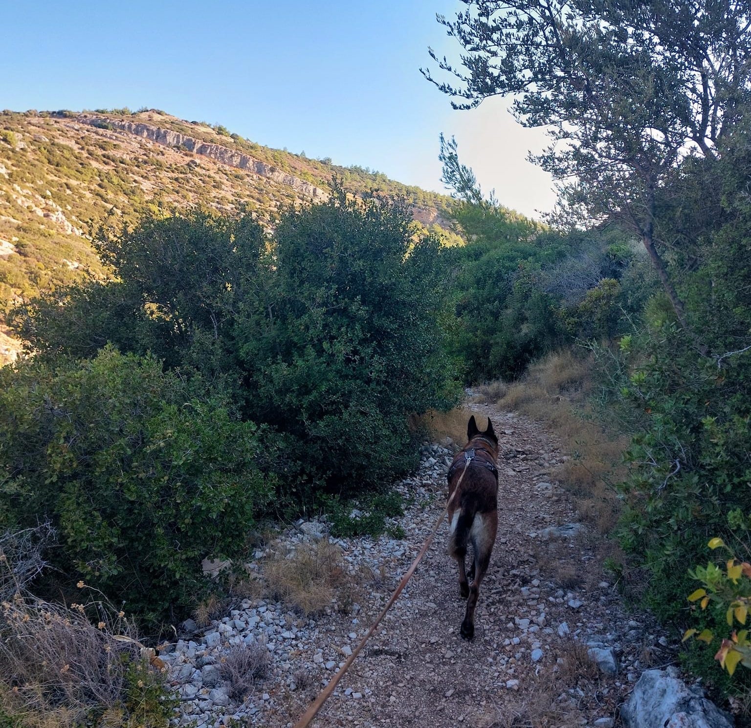 Body of Missing Dutch Tourist Discovered on Samos