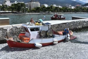 Dead Fish in Volos Port Gain International Media Attention