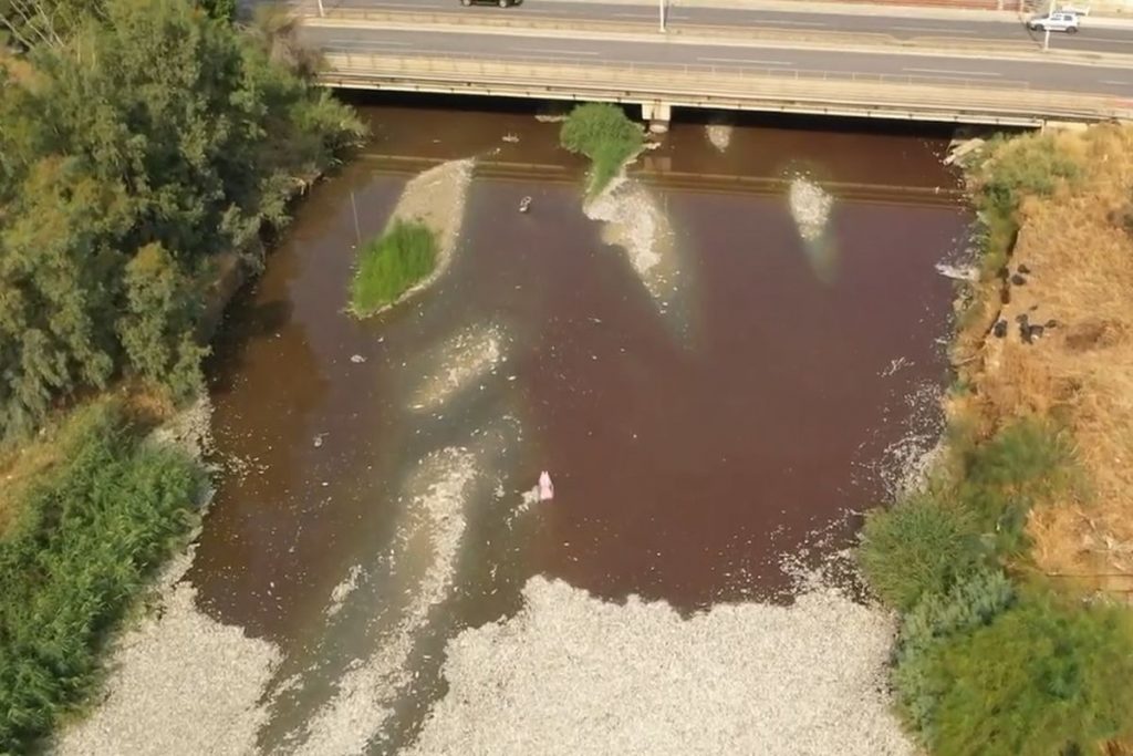 Eerie Drone Footage of Blood-Red Sea from Dead Fish in Volos (video)