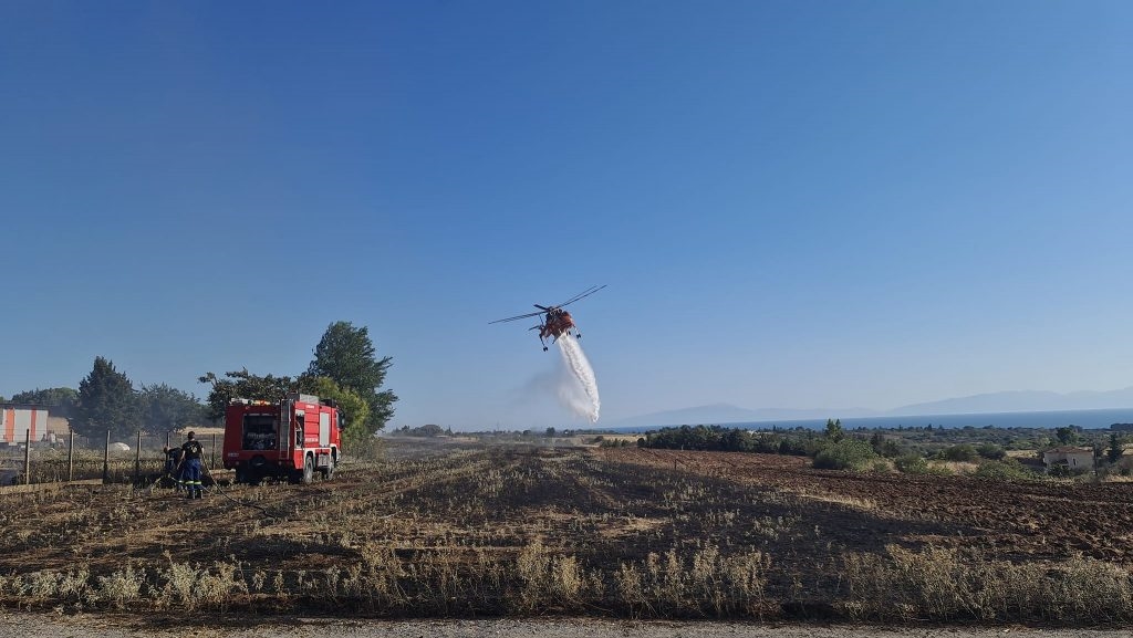 Couple Arrested for Concealing Son’s Attempts to Start Wildfires