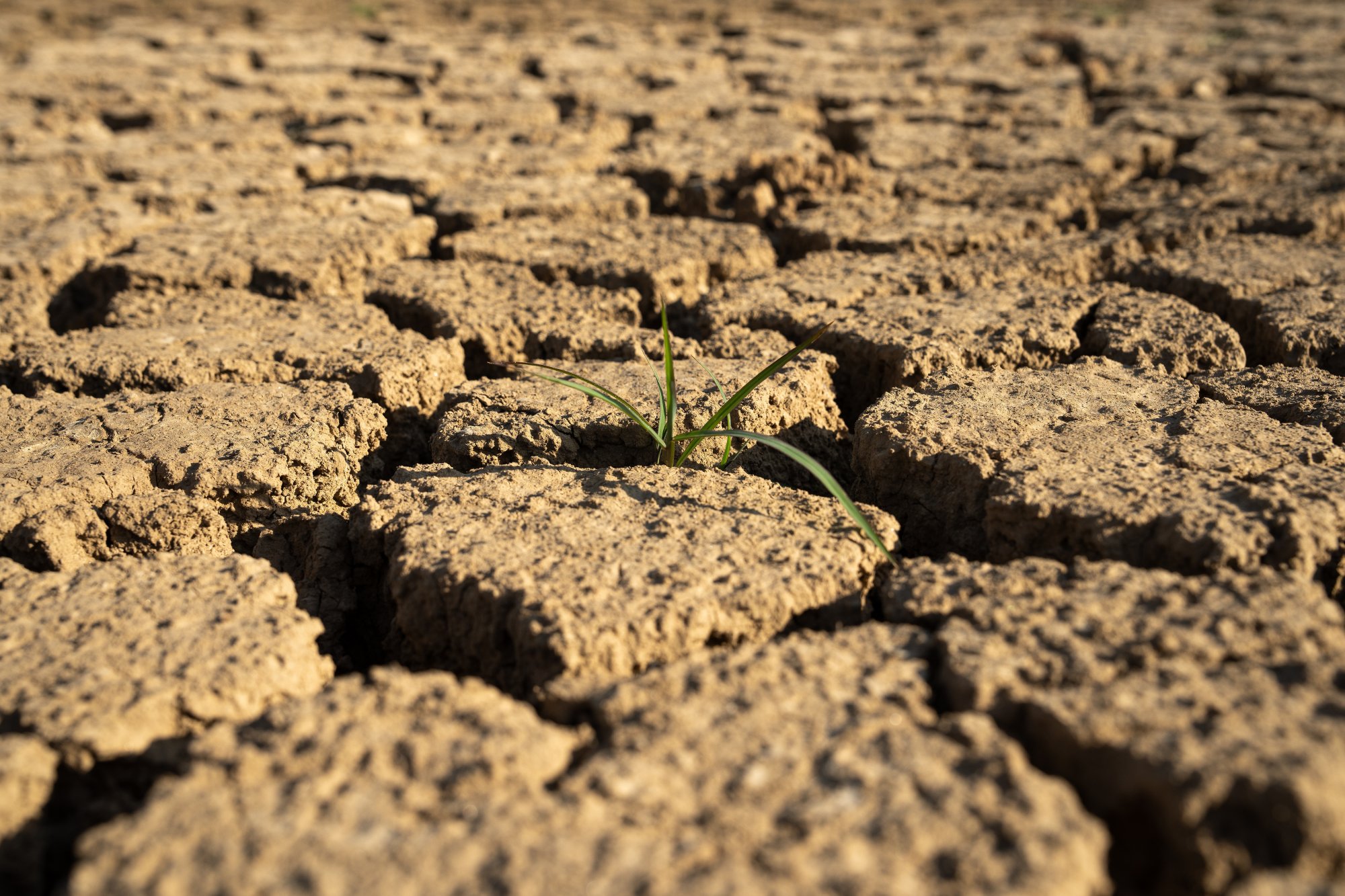 Decline in Northern Greece’s Lake Levels