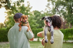 Dog Adoption Festival in South Athens on Sunday