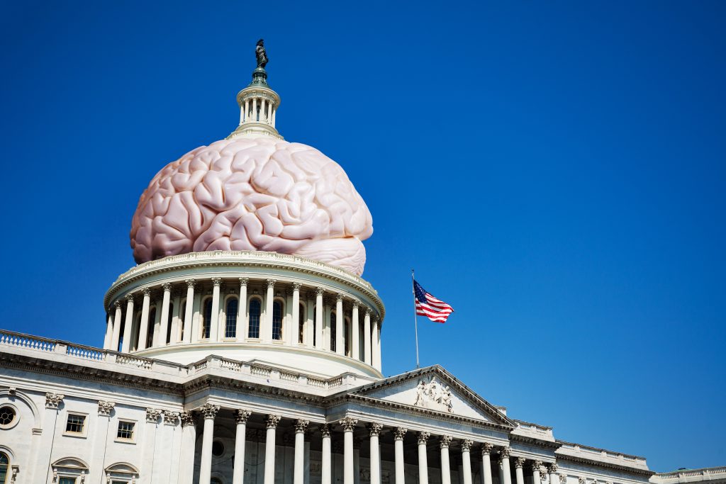 ‘Nuts’ about Politics: What Our Brains Have to Say About Politics