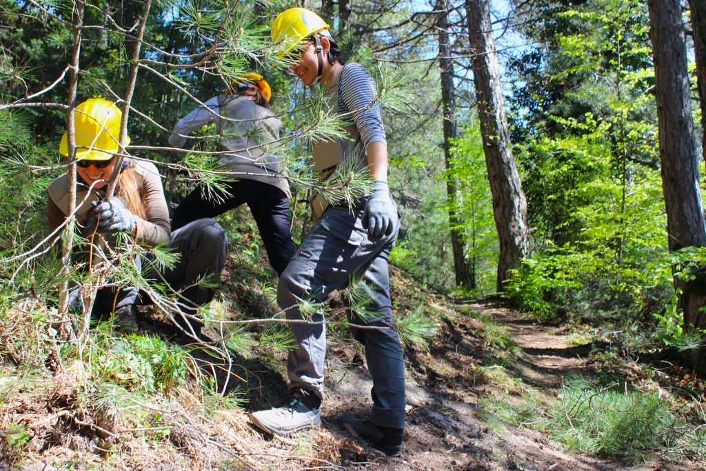 Ecogenia: Engaging Greece’s Youth in Civic Climate Action