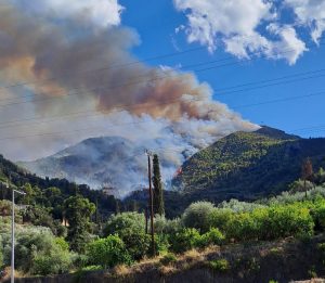 Out-of-Control Wildfire in Xylokastro Threatens Villages