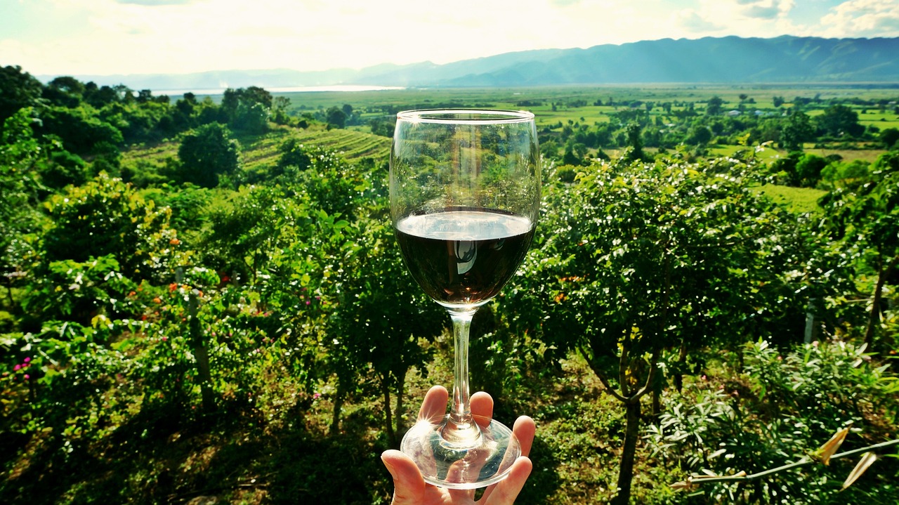 Wine Tourism Emerges as a Promising Asset for Greek Tourism