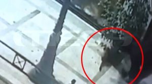 Video Footage Shows Serial Animal Abuser in Volos