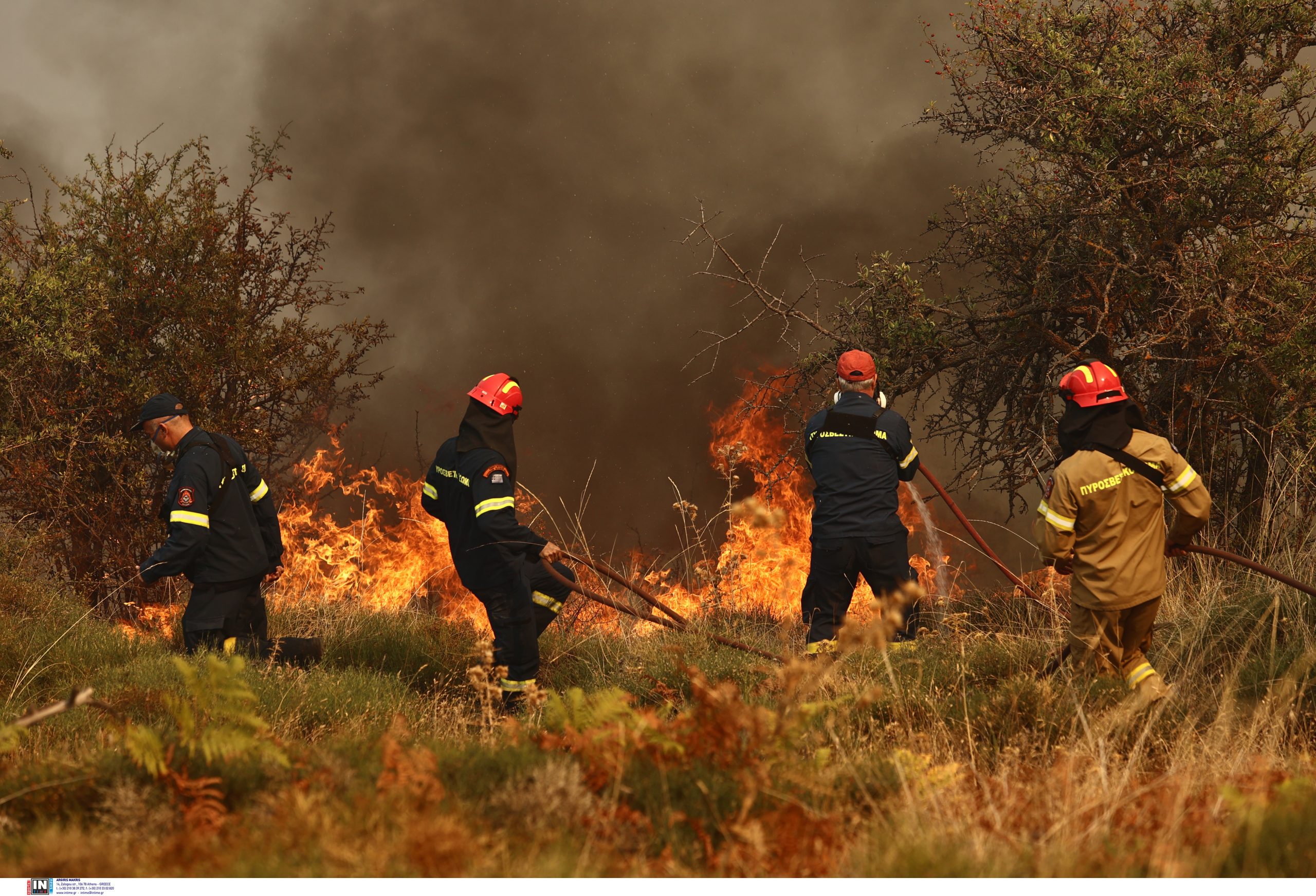 Why Are There So Many Forest Fires This Autumn in Greece?