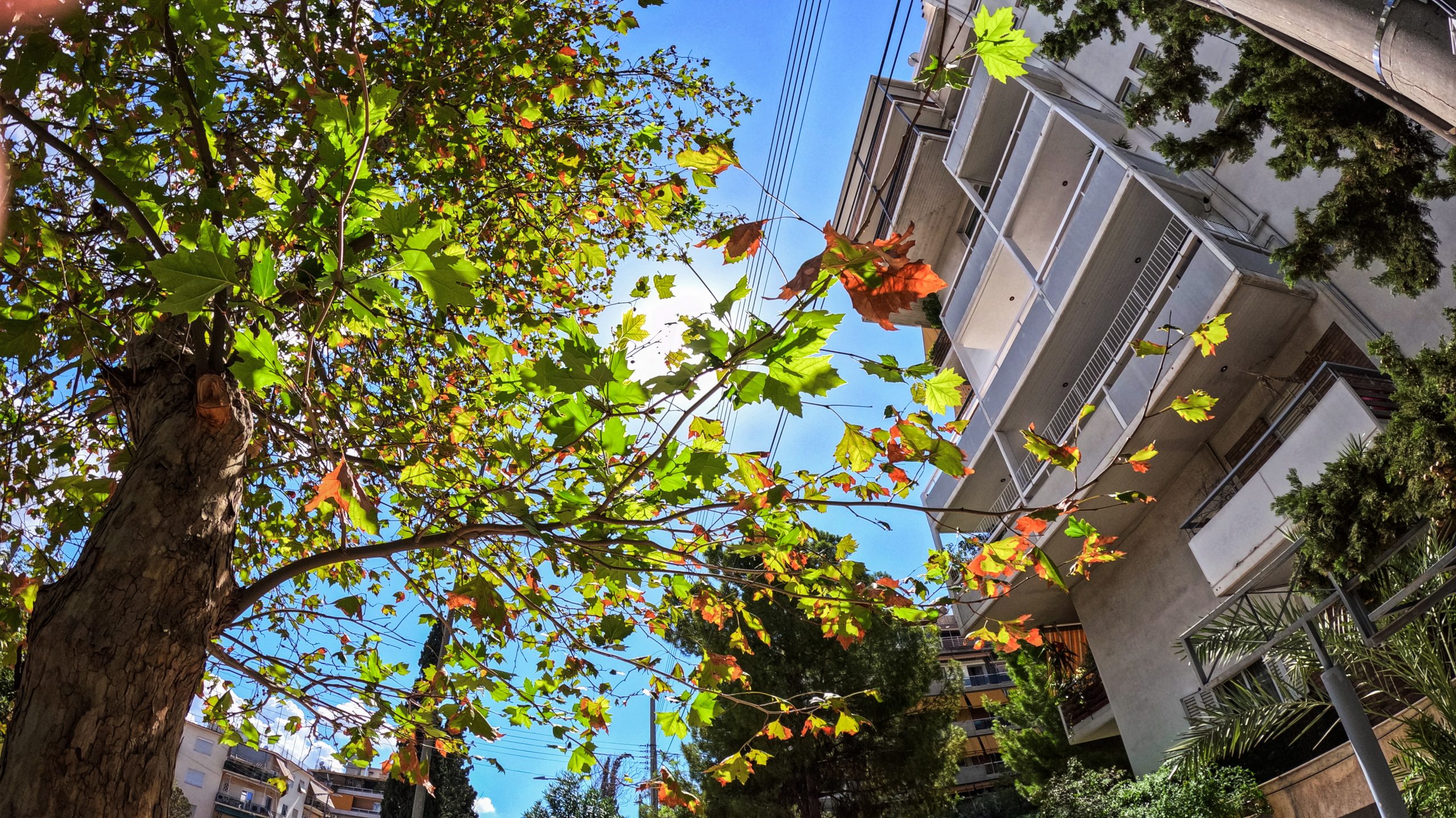 Clear Blue Skies Kickstart the Week in Greece