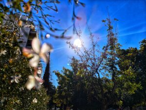 A Sunny Saturday across Greece