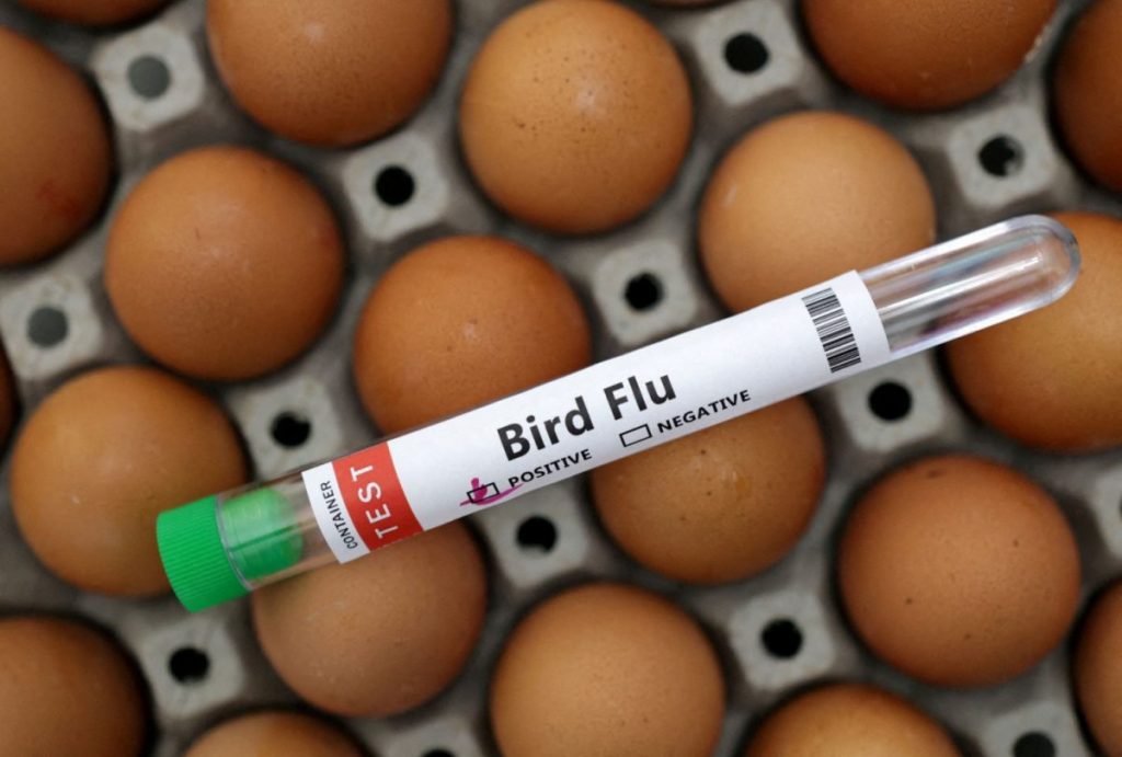 Bird Flu Detected in Bulgaria, Greece Notified