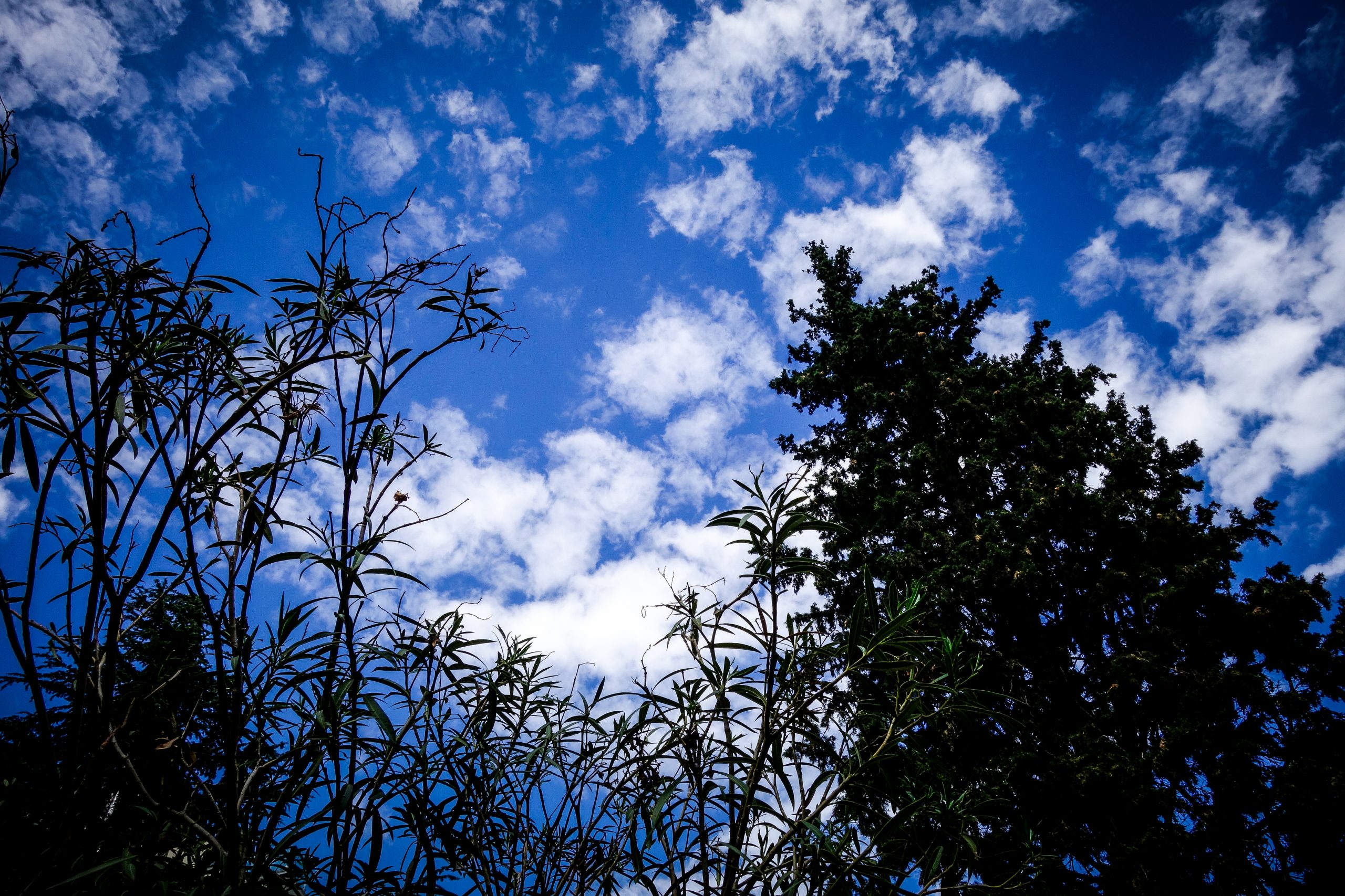 Sunny Weather, Scattered Clouds in Greece on Thursday