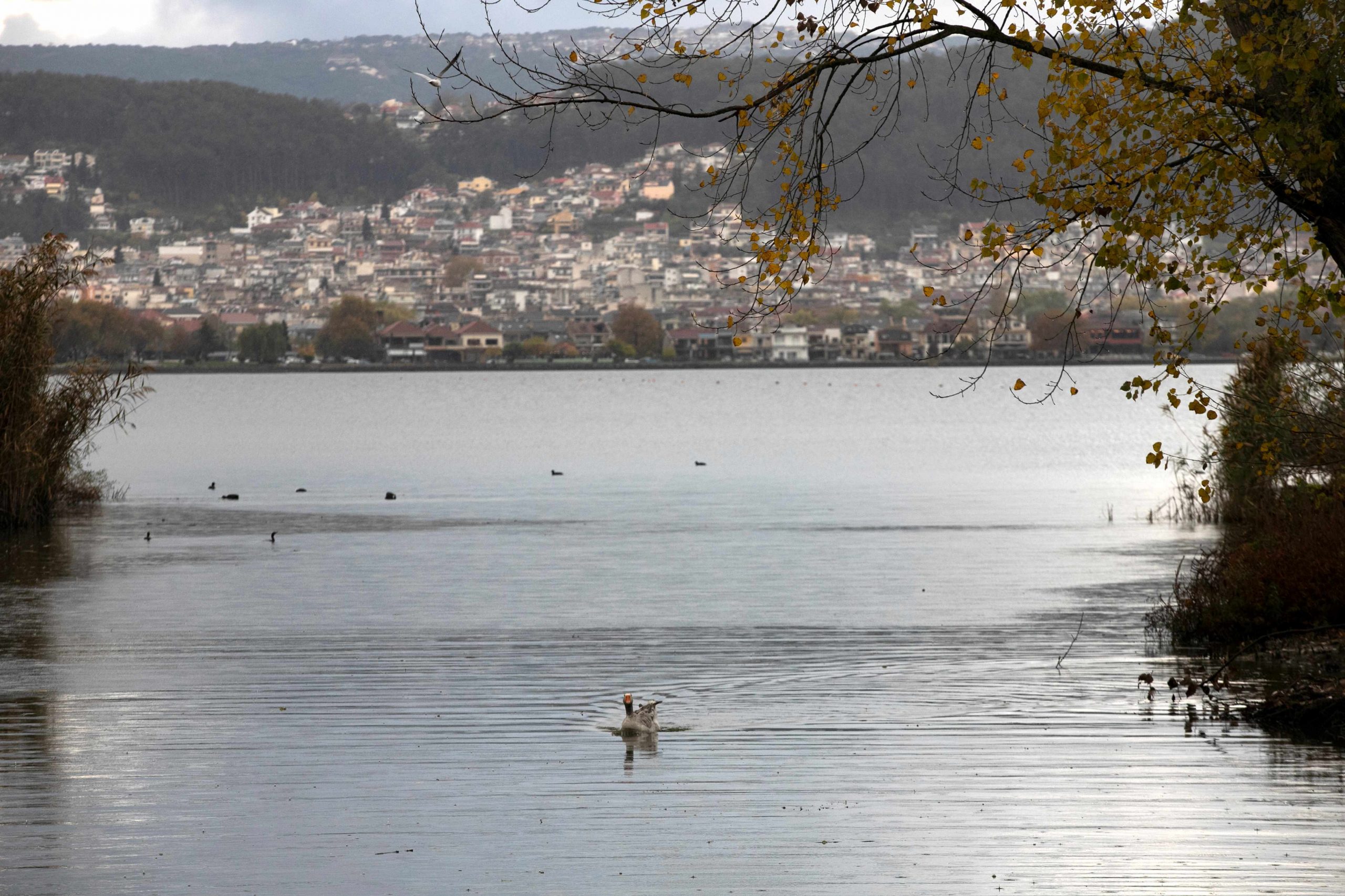 Ordnance, WWII-era German Helmets Found in Lake Pamvotida Cleanup