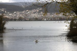 Ioannina Lake Cleanup Reveals WWII Relics