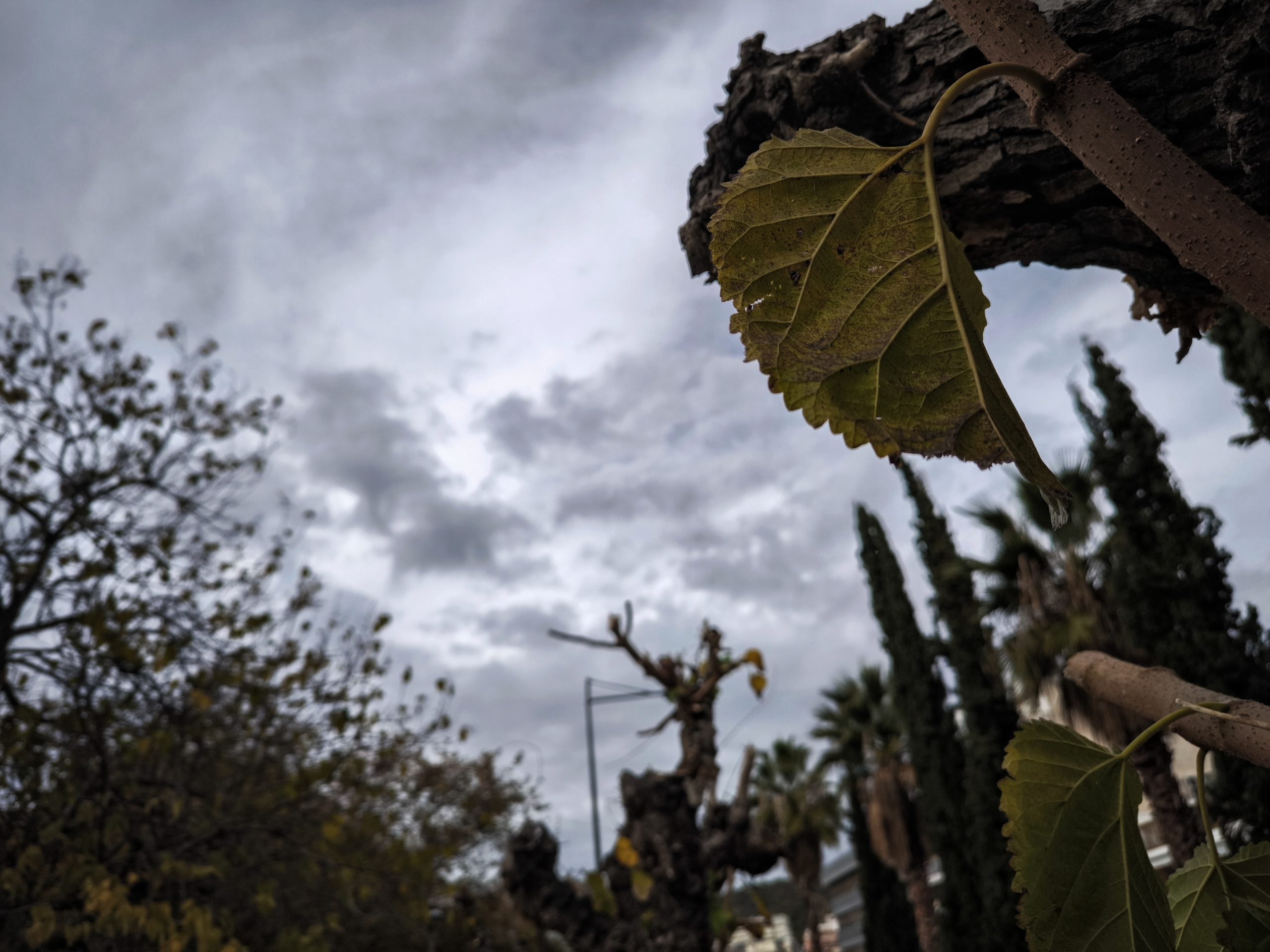 Winter Weather Grips Greece on Monday