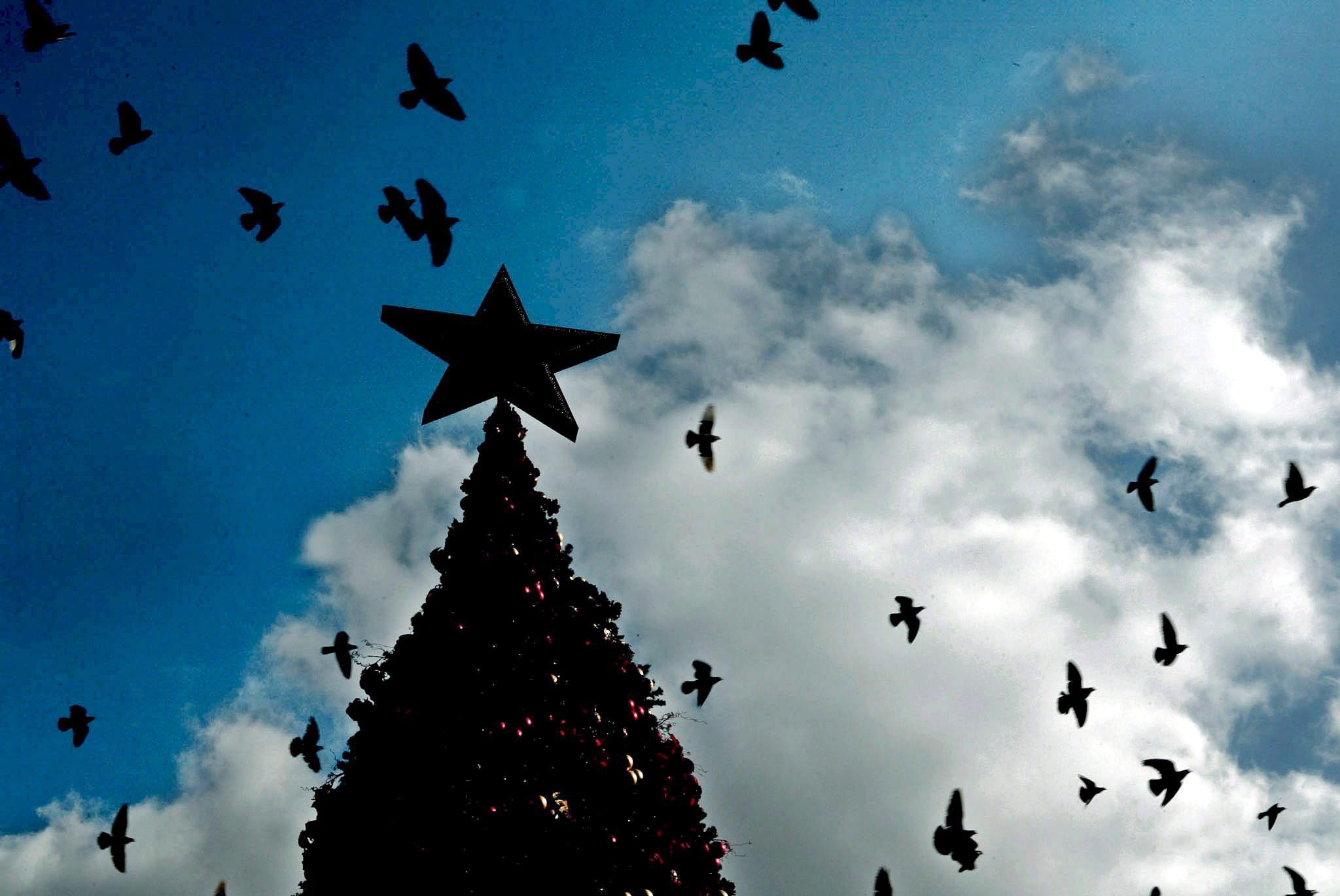 First Christmas Tree in Athens Was Set Up in 1843