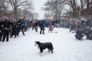 US Winter Storm Leaves at Least 5 Dead and Travel Disruption