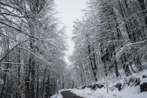 Storm Coral Hits the Eastern Med, Revealing Winter Wonderland