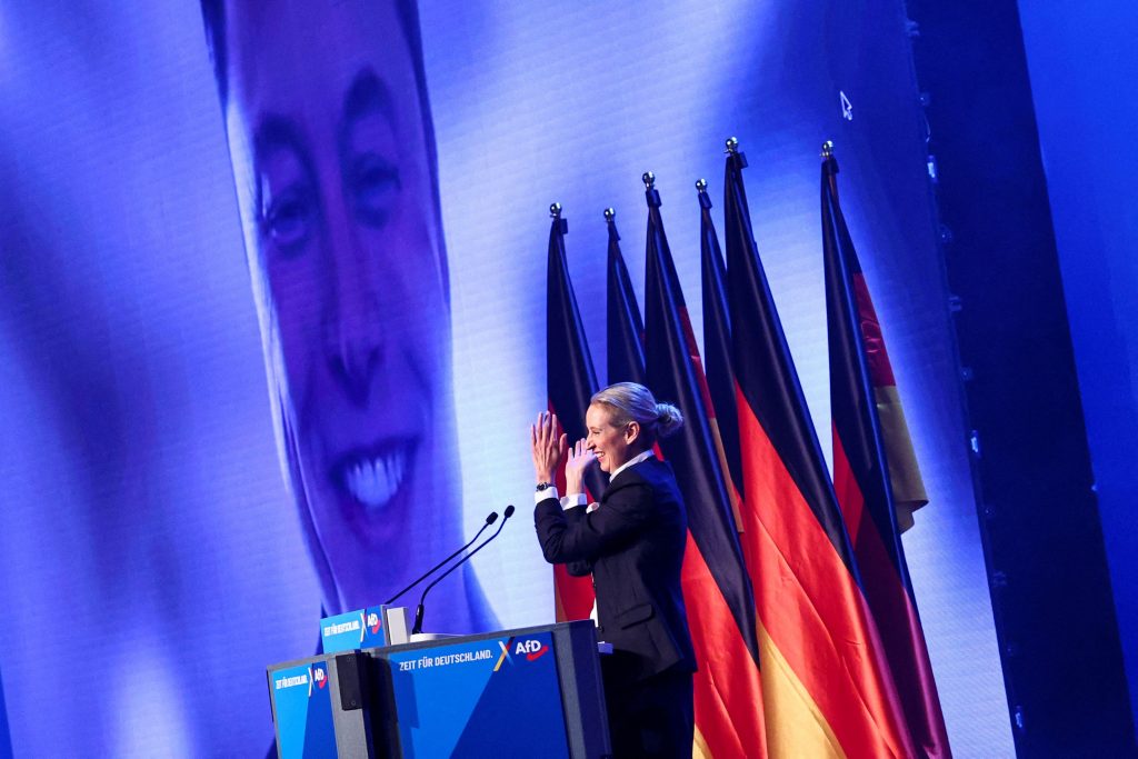 How Germany’s AfD Harnessed Social Media