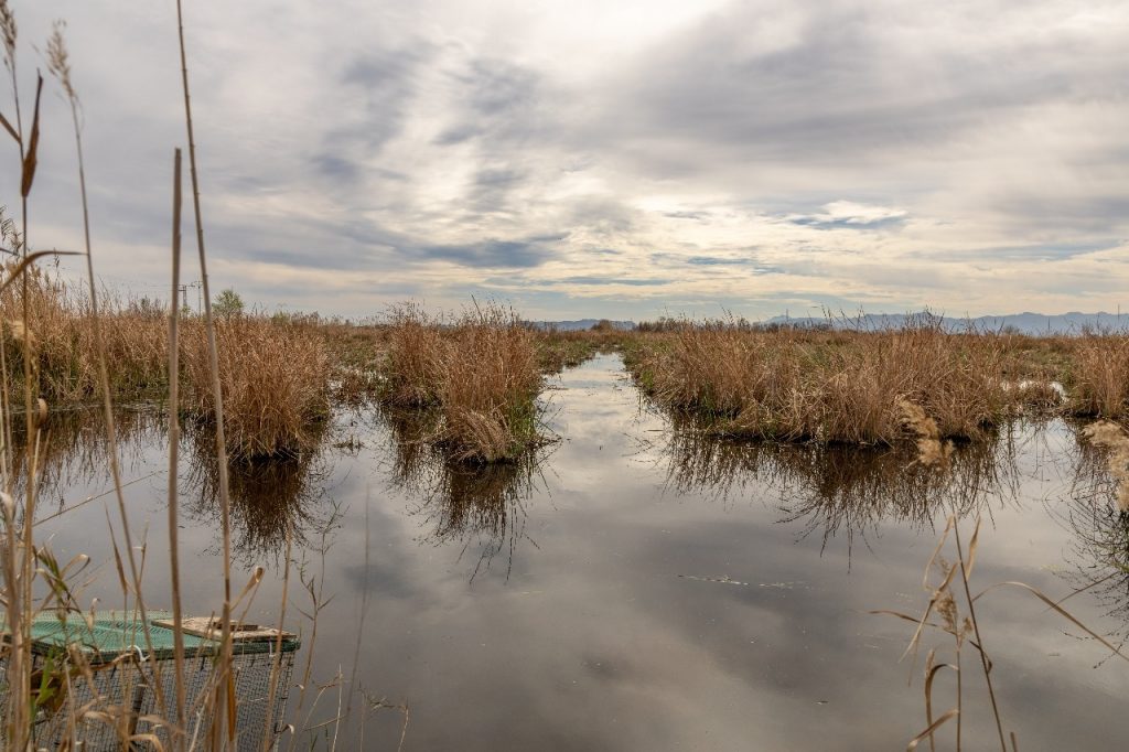 Lessons from Valencia: Nature-based Solutions that Boost Climate Resilience in the Med